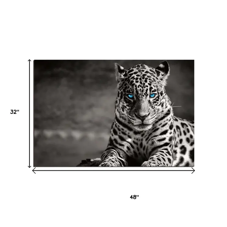 Black And White Blue Eyed Spotted Leopard Unframed Wall Art