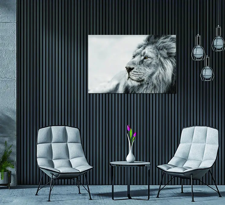 Black And White Lion Unframed Acrylic Wall Art
