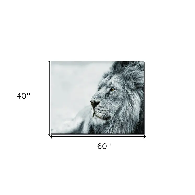 Black And White Lion Unframed Acrylic Wall Art