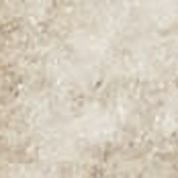 3' X 5' Beige and Ivory Floral Area Rug