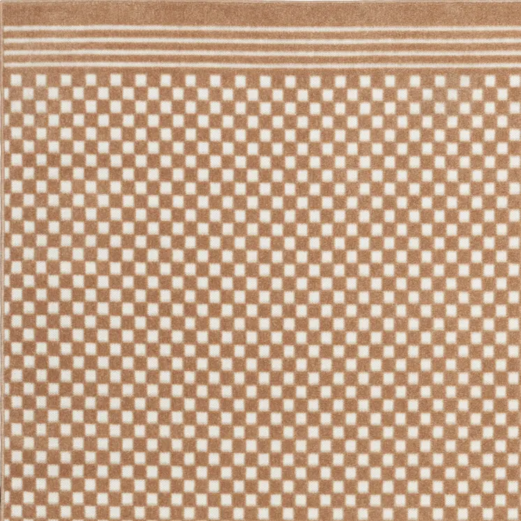 4' X 6' Brown Geometric Area Rug