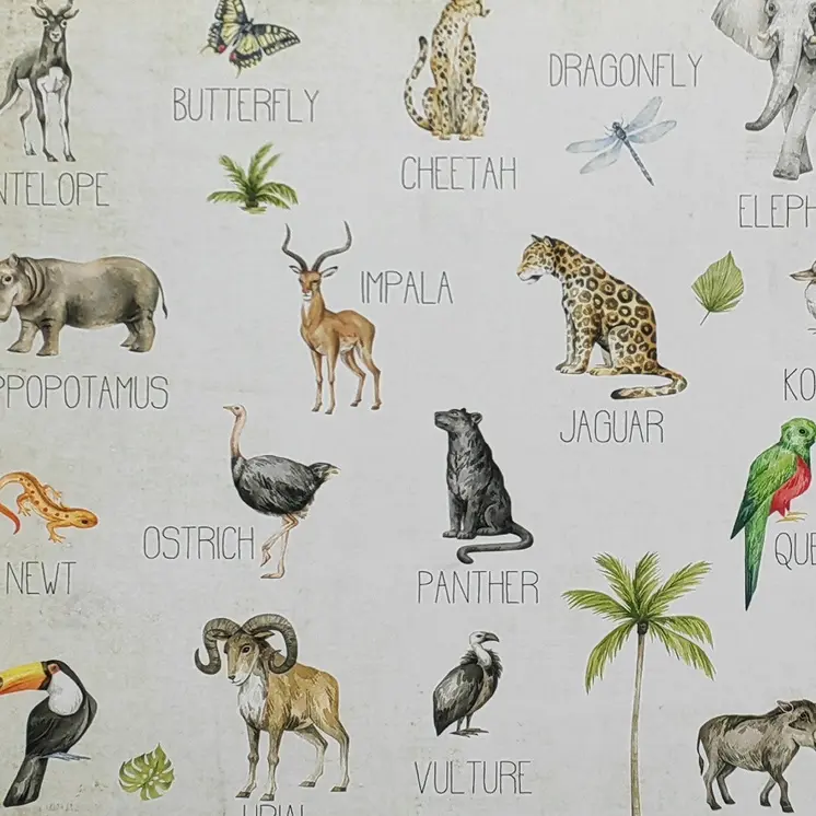 Jungle Animals Alphabet Black Floater Frame Wall Art