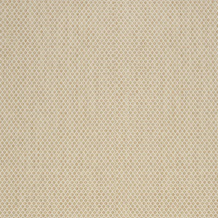 2' X 3' Natural And Tan Geometric Indoor Outdoor Area Rug