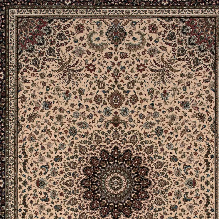 4' X 6' Black and Ivory Oriental Area Rug