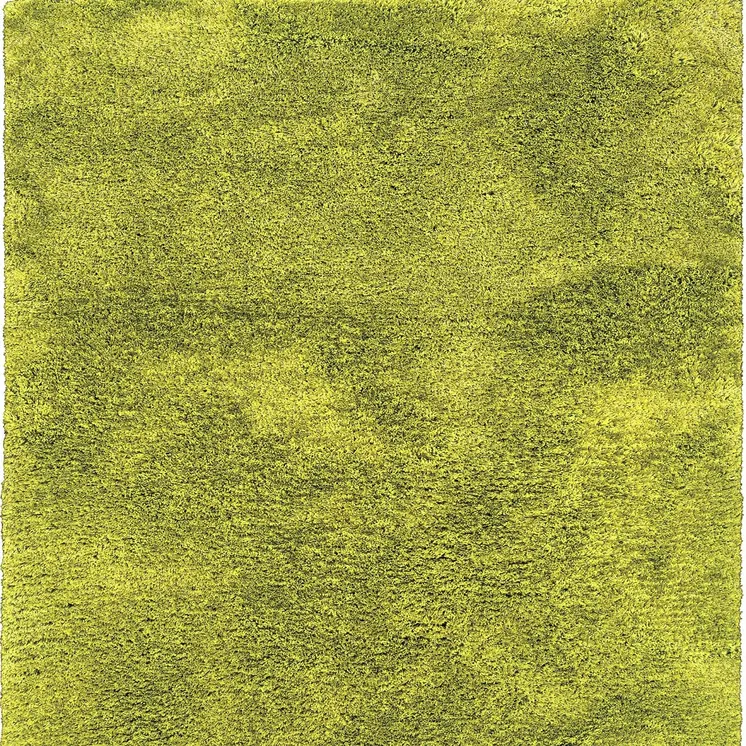 5' X 7' Green Shag Hand Tufted Area Rug