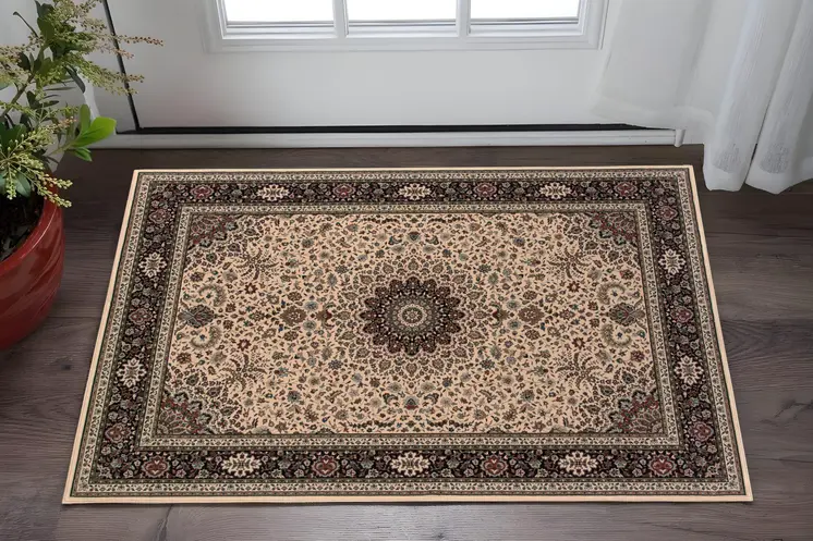 2' X 3' Ivory And Black Oriental Area Rug