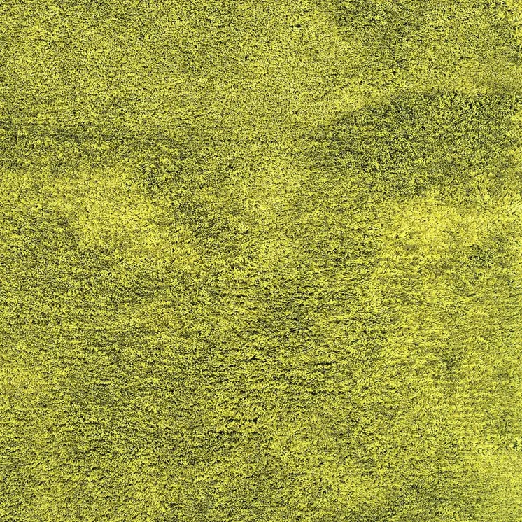 3' X 5' Green Shag Hand Tufted Area Rug