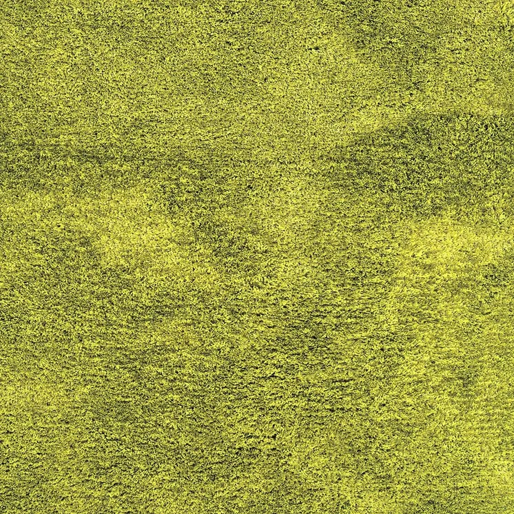3' X 5' Green Shag Hand Tufted Area Rug