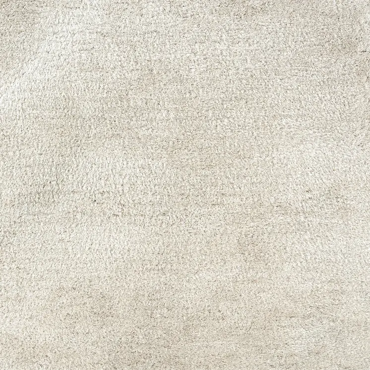 3' X 5' Ivory Shag Hand Tufted Area Rug