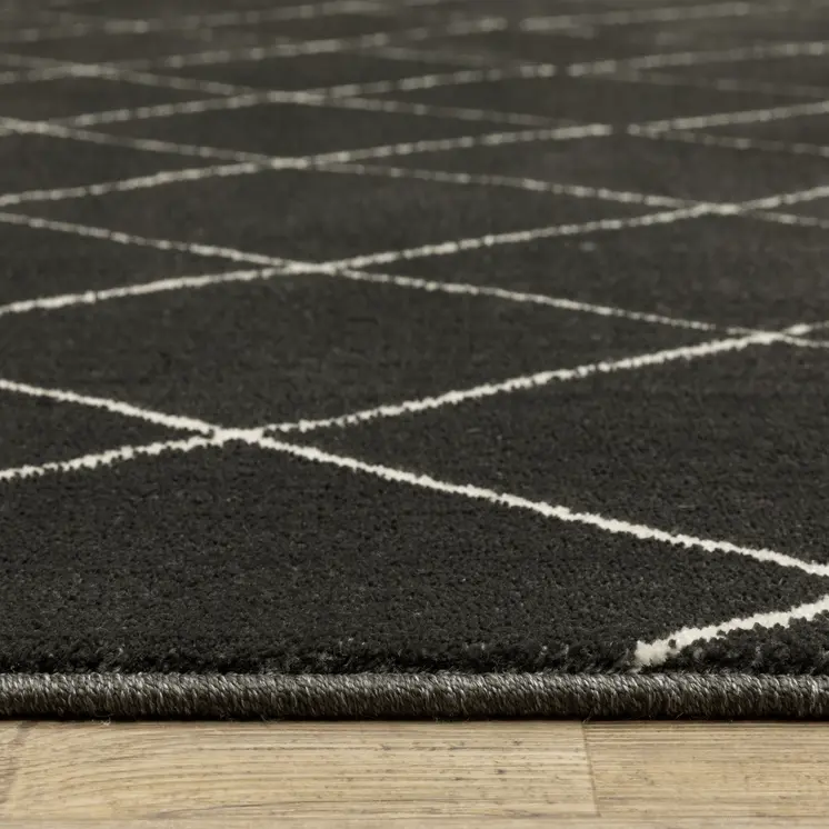 10' X 13' Charcoal And Ivory Trellis Area Rug