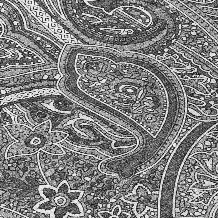 3' X 5' Gray Silver And Charcoal Paisley Washable Indoor Outdoor Area Rug