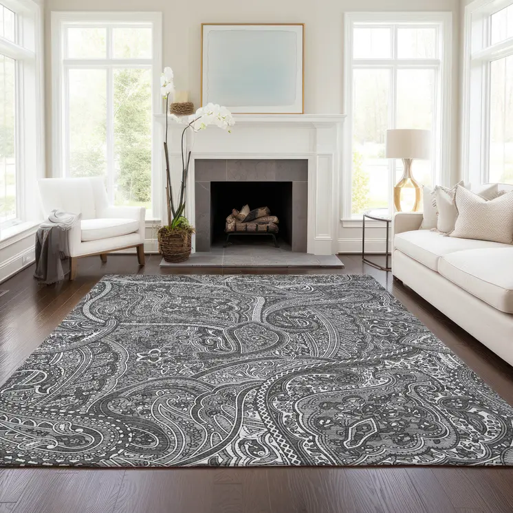 3' X 5' Gray Silver And Charcoal Paisley Washable Indoor Outdoor Area Rug
