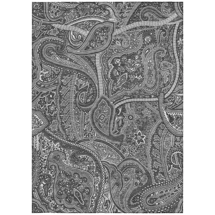 9' X 12' Gray Silver And Charcoal Paisley Washable Indoor Outdoor Area Rug