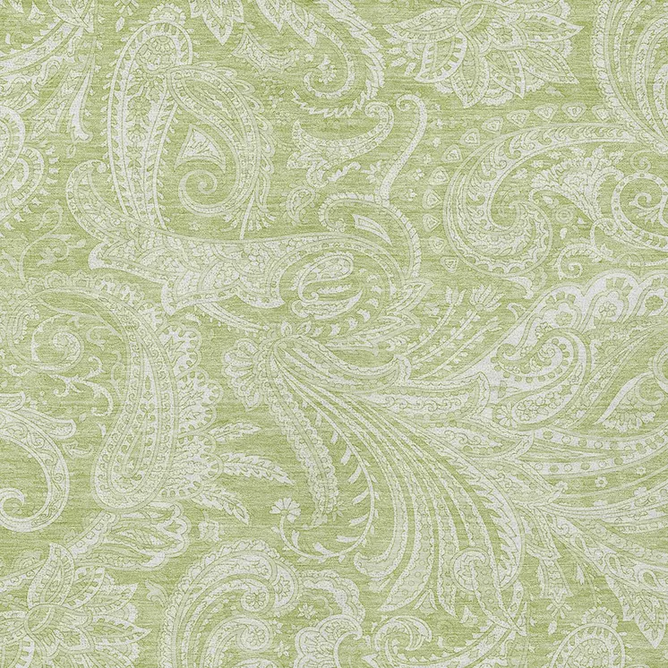 5' X 8' Green And Ivory Paisley Washable Indoor Outdoor Area Rug