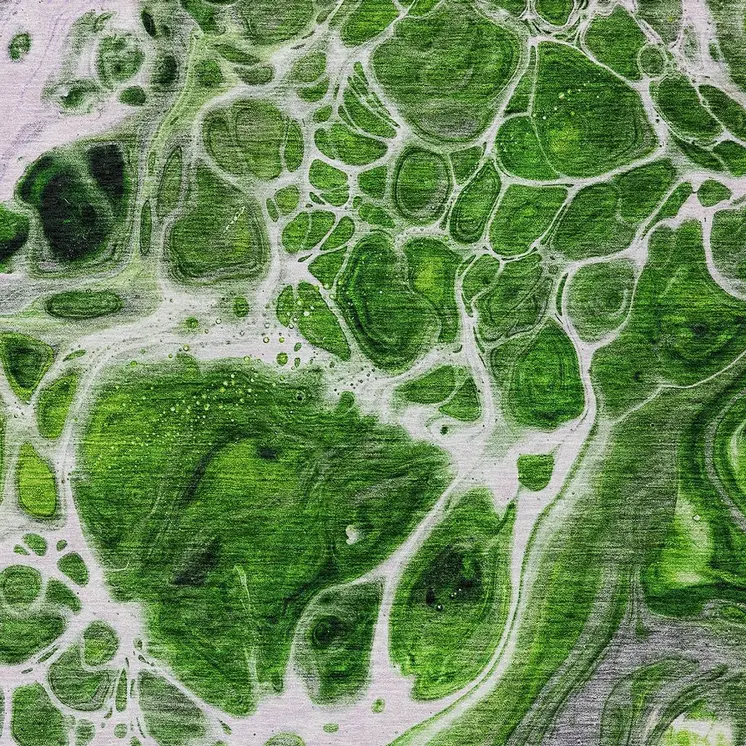 3' X 5' Lime Green And Gray Nautical Washable Indoor Outdoor Area Rug