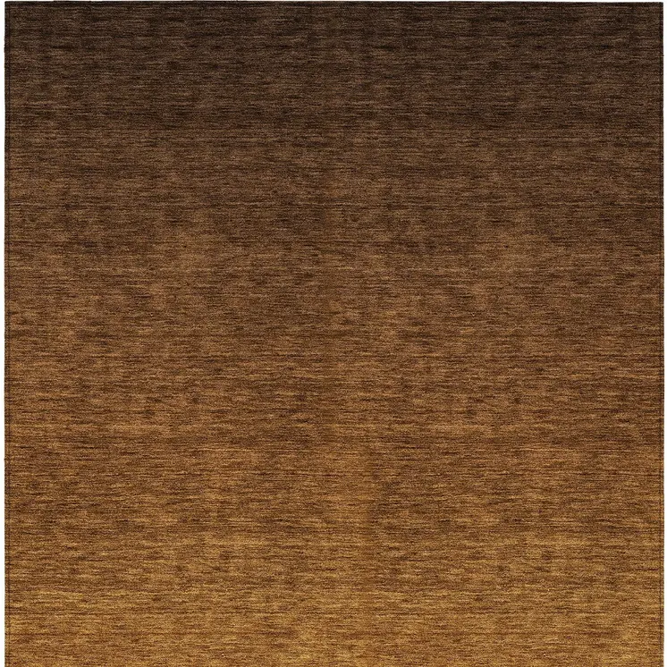 5' X 8' Chocolate And Brown Ombre Washable Indoor Outdoor Area Rug