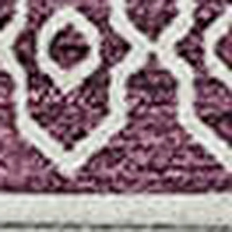 3' X 5' Eggplant And Ivory Southwestern Washable Indoor Outdoor Area Rug