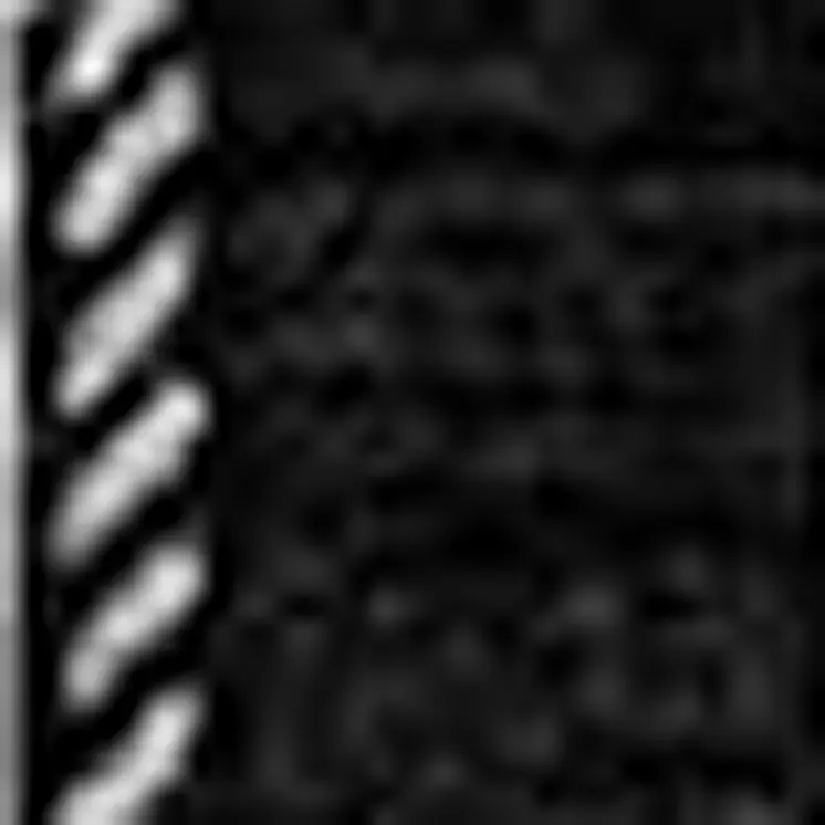 3' X 5' Black And Ivory Striped Washable Indoor Outdoor Area Rug