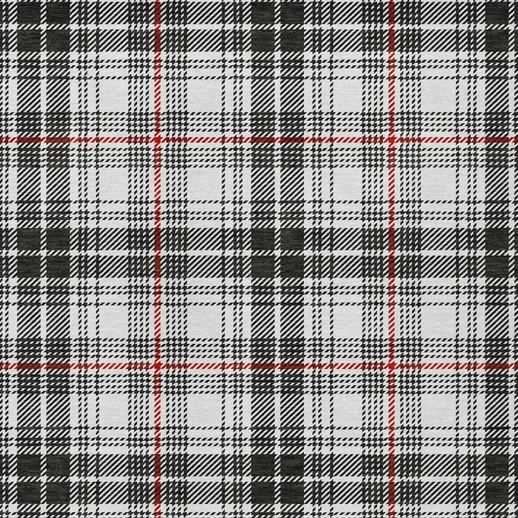 3' X 5' Black Ivory And Red Plaid Washable Indoor Outdoor Area Rug