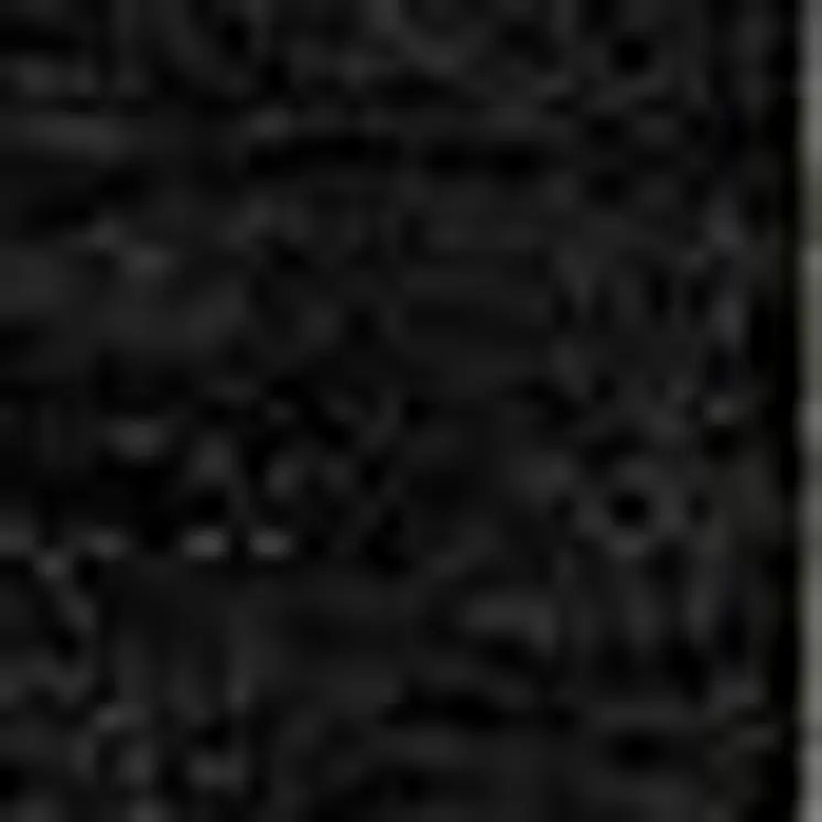 3' X 5' Black And Beige Striped Washable Indoor Outdoor Area Rug