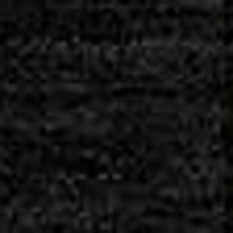 9' X 12' Black And Beige Striped Washable Indoor Outdoor Area Rug