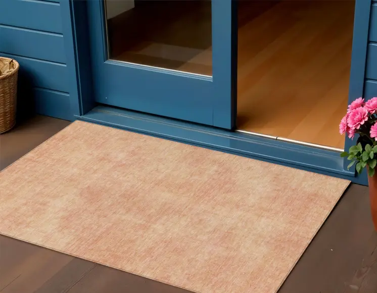 3' X 5' Peach Washable Indoor Outdoor Area Rug