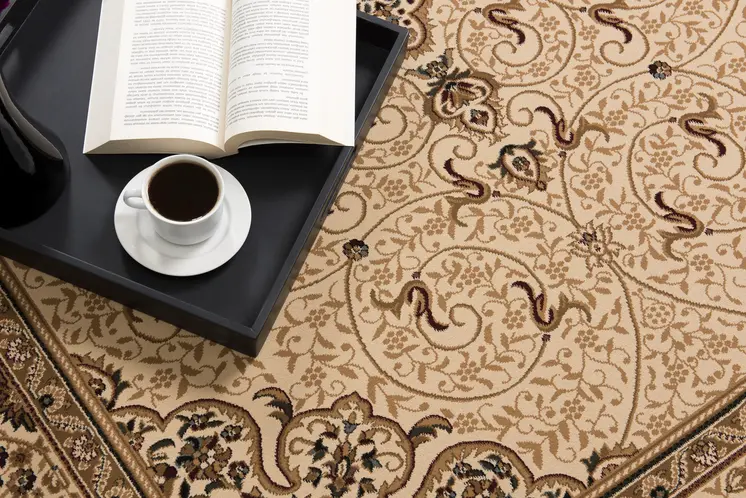 3' X 5' Tan And Brown Oriental Area Rug