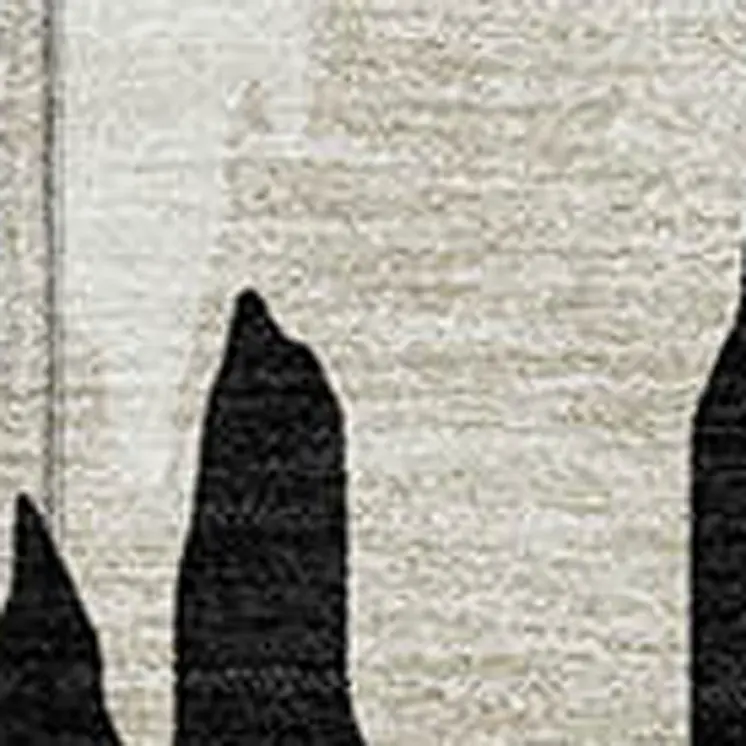 5' X 8' Black And Ivory Abstract Washable Indoor Outdoor Area Rug