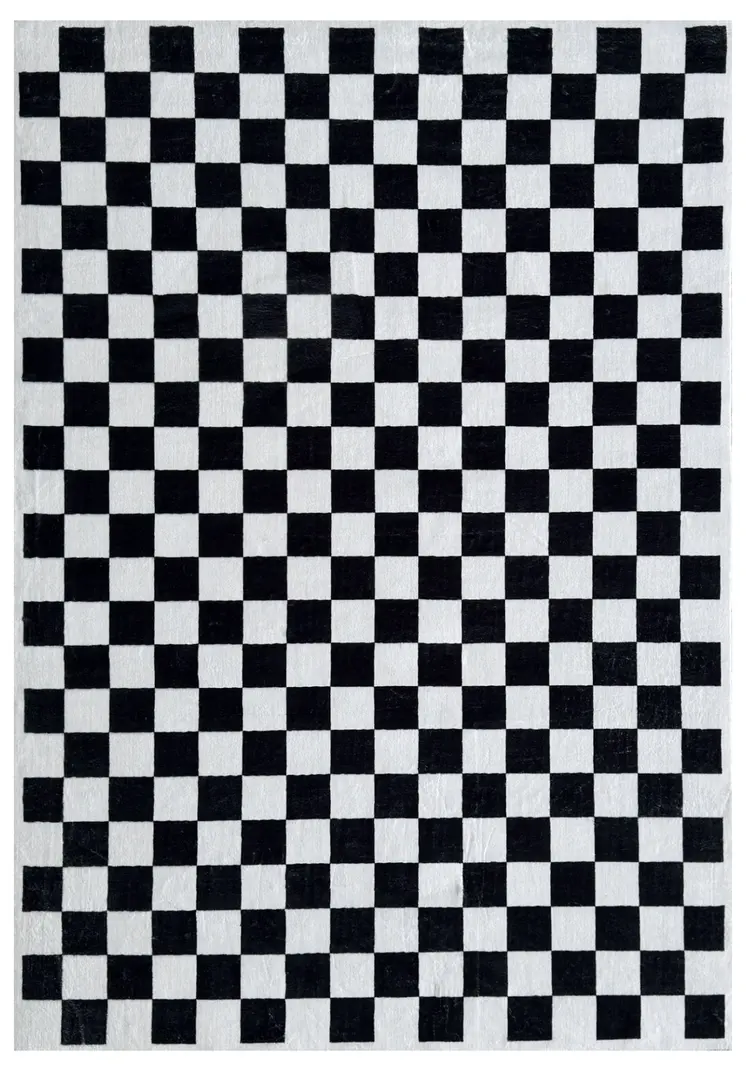 4' X 6' Black And White Checkered Area Rug