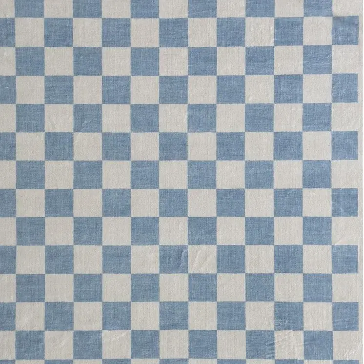 4' X 6' Blue And Off White Checkered Area Rug