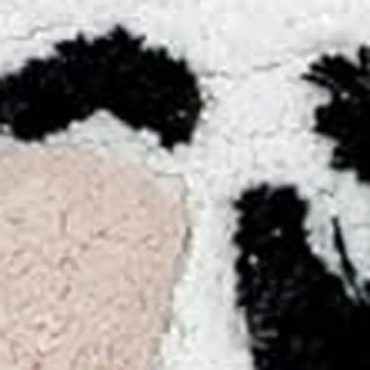 2' X 3' Black And White Kitty Cat Youthful Washable Area Rug
