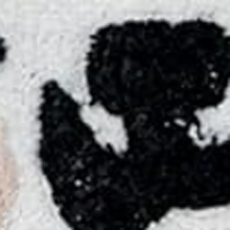 2' X 3' Black And White Kitty Cat Youthful Washable Area Rug