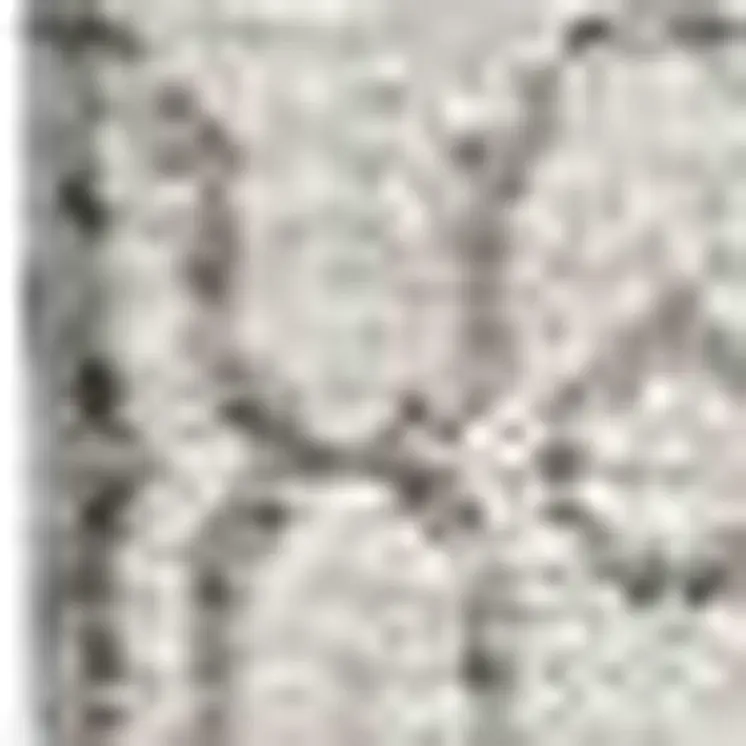 10' X 14' Taupe And Ivory Tribal Washable Area Rug With UV Protection