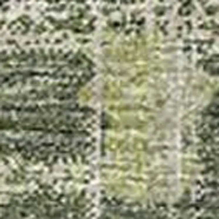 5' X 8' Green And Beige Tribal Washable Area Rug With UV Protection