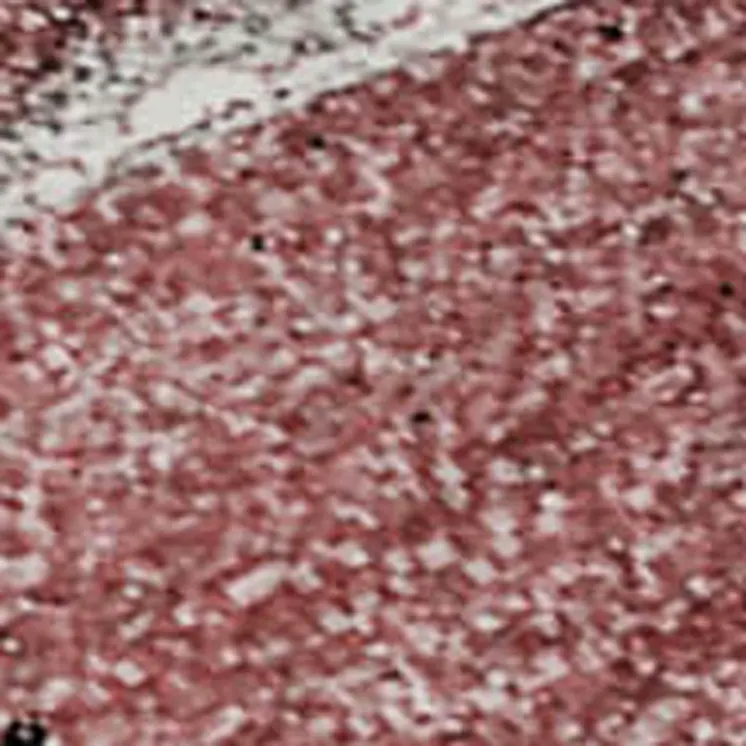9' X 12' Merlot And Ivory Abstract Washable Area Rug With UV Protection