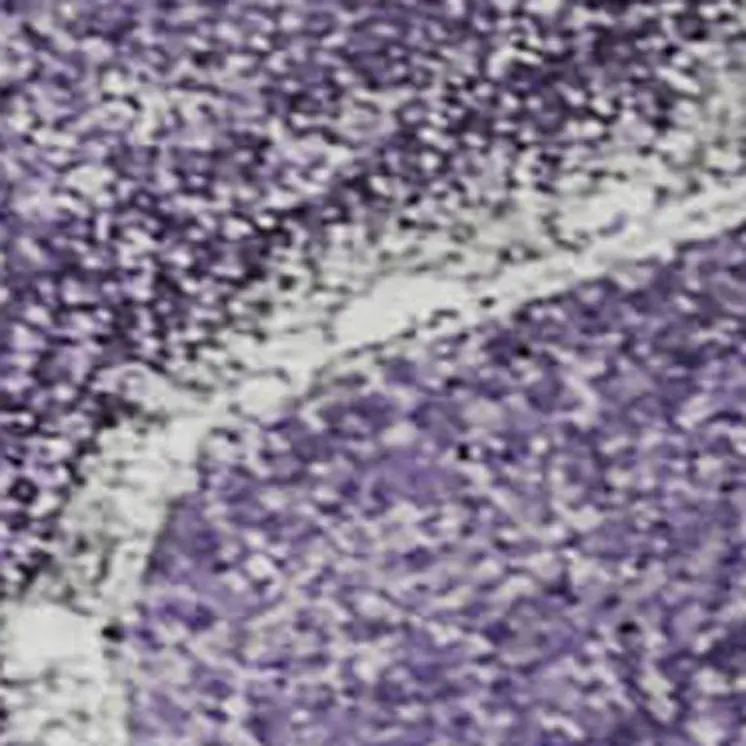 8' X 10' Purple And Ivory Abstract Washable Area Rug With UV Protection