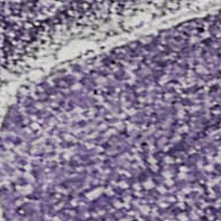 10' X 14' Purple And Ivory Abstract Washable Area Rug With UV Protection