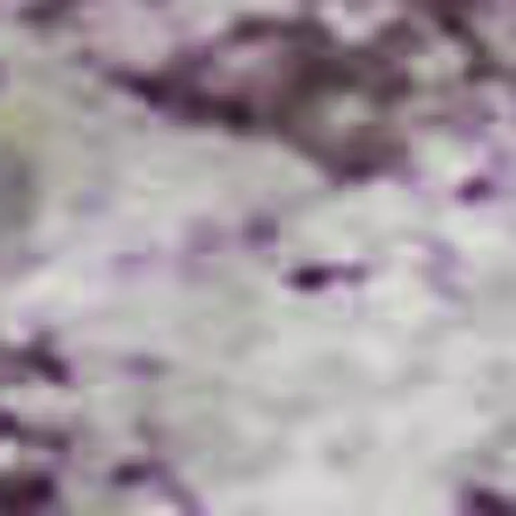 10' X 14' Purple Ivory And Green Abstract Washable Area Rug With UV Protection