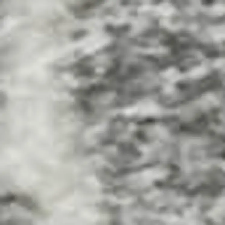 5' X 8' Gray And Ivory Floral Washable Area Rug With UV Protection