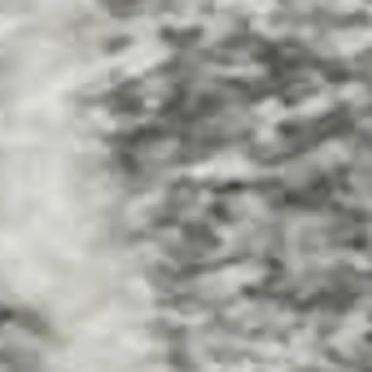 8' X 10' Gray And Ivory Floral Washable Area Rug With UV Protection