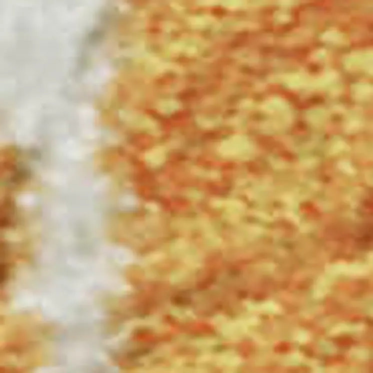 8' X 10' Orange And Ivory Floral Washable Area Rug With UV Protection
