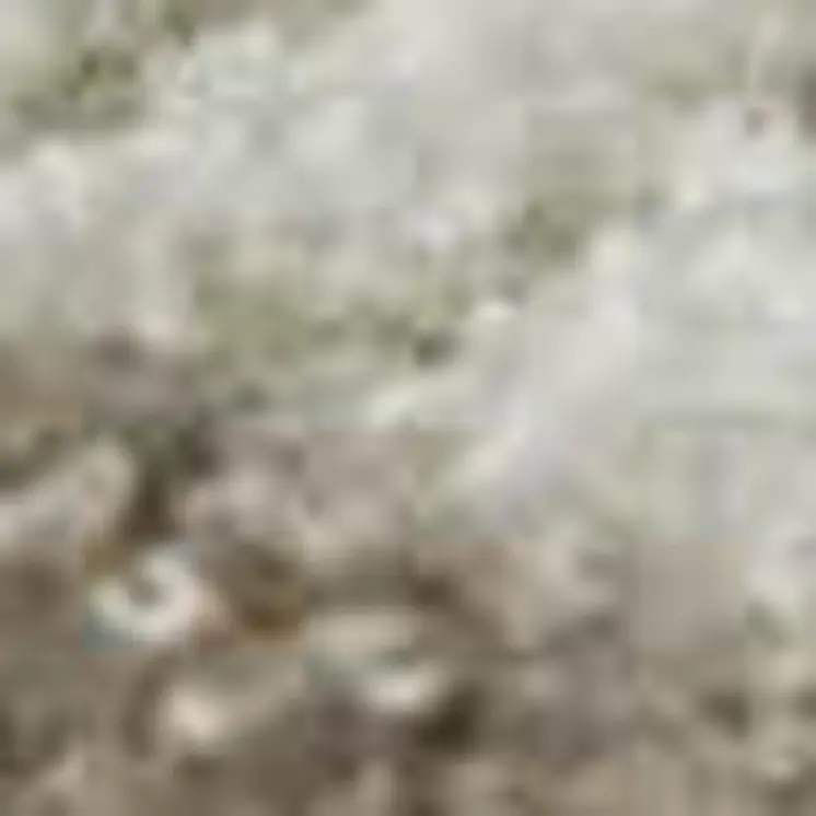 9' X 12' Taupe And Ivory Floral Washable Area Rug With UV Protection