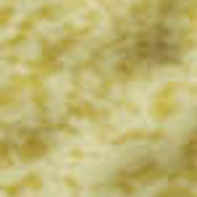 3' X 5' Yellow And Ivory Floral Washable Area Rug With UV Protection
