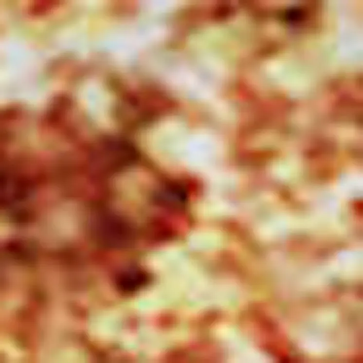 9' X 12' Chili Red And Ivory Ombre Washable Area Rug With UV Protection