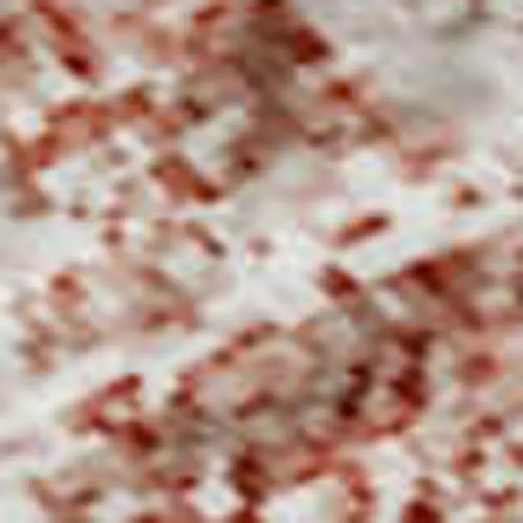 8' X 10' Blush And Ivory Abstract Washable Area Rug With UV Protection