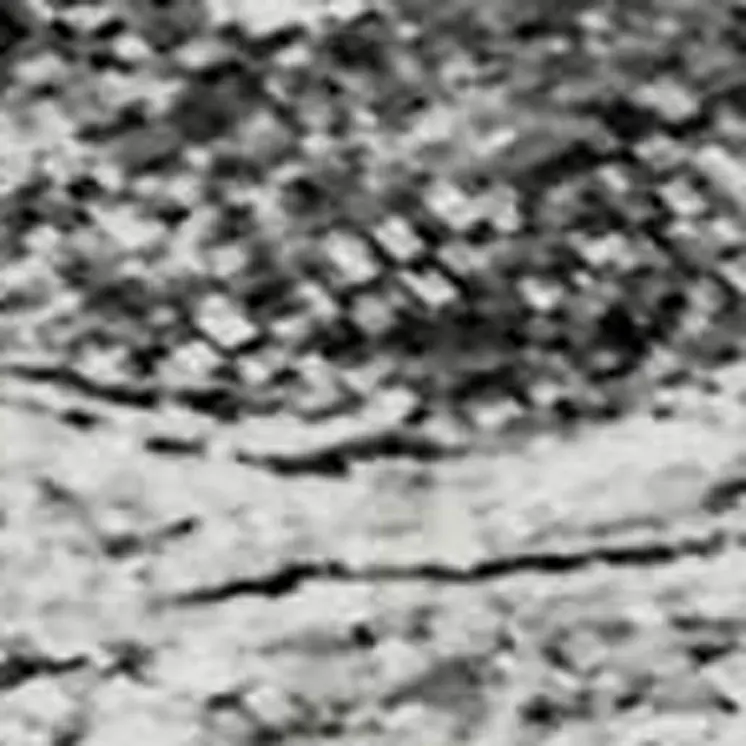 3' X 5' Gray And Ivory Abstract Washable Area Rug With UV Protection