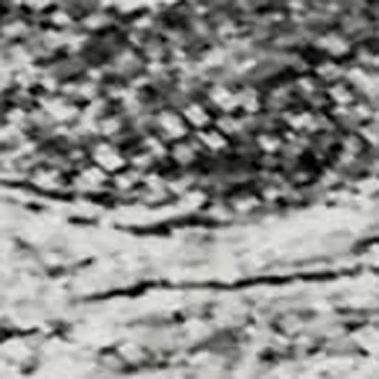 10' X 14' Gray And Ivory Abstract Washable Area Rug With UV Protection