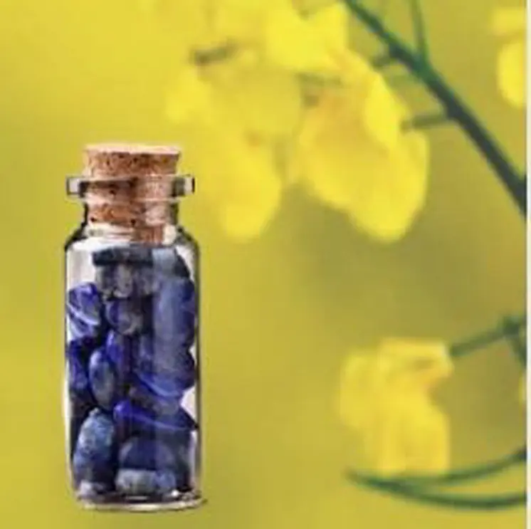 Good Vibration Wishing Bottles - Clearance - 50% Discount