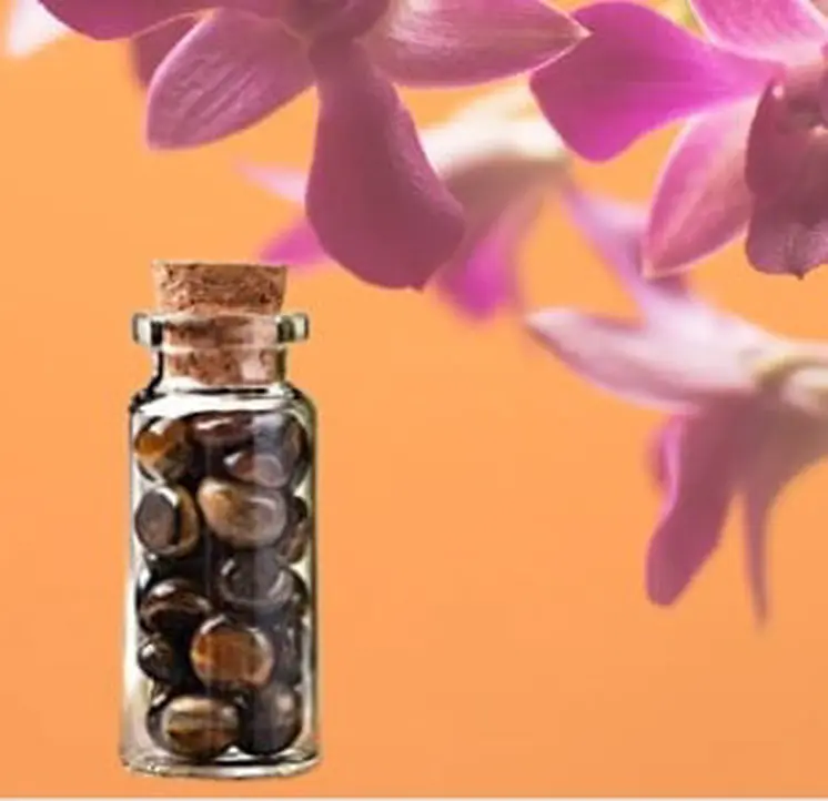 Good Vibration Wishing Bottles - Clearance - 50% Discount