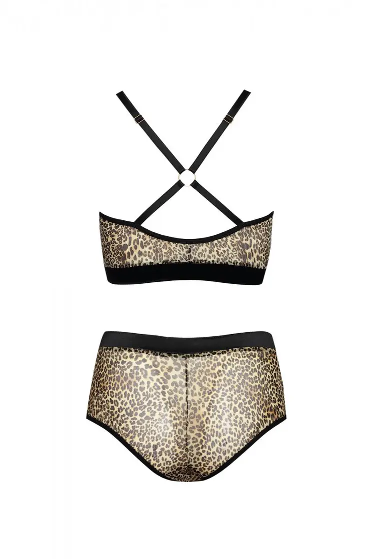leo Set AA052952 - 5XL/6XL